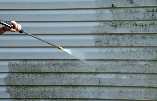 Mold Removal Process in Dansville, NY