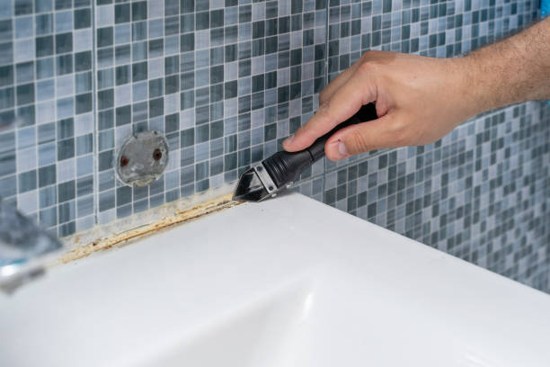 Best Fast Mold Removal  in Dansville, NY